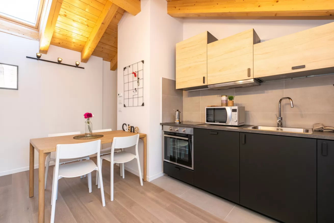 Tolstoj Contemporary Apartments 2