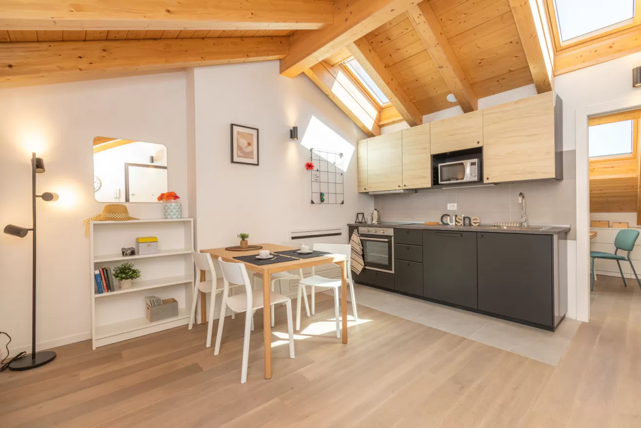 Tolstoj Contemporary Apartments 6