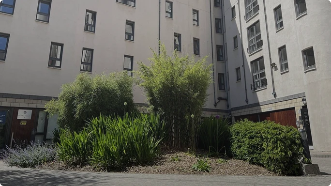 Kincaid Court