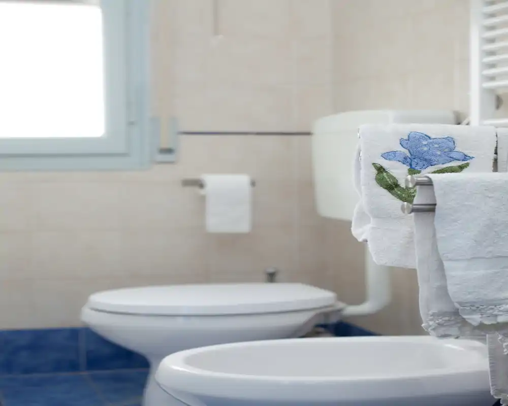 Salle de bain propre et lumineuse avec toilettes et bidet, serviettes décoratives et carrelage au sol.
