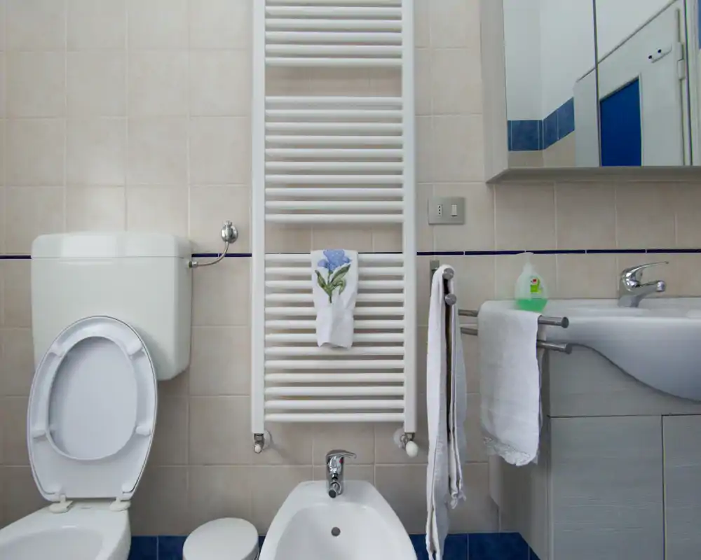 Salle de bains propre et compacte avec WC, bidet, lavabo et radiateur-serviettes mural ; carreaux neutres et petit miroir armoire au-dessus du lavabo.