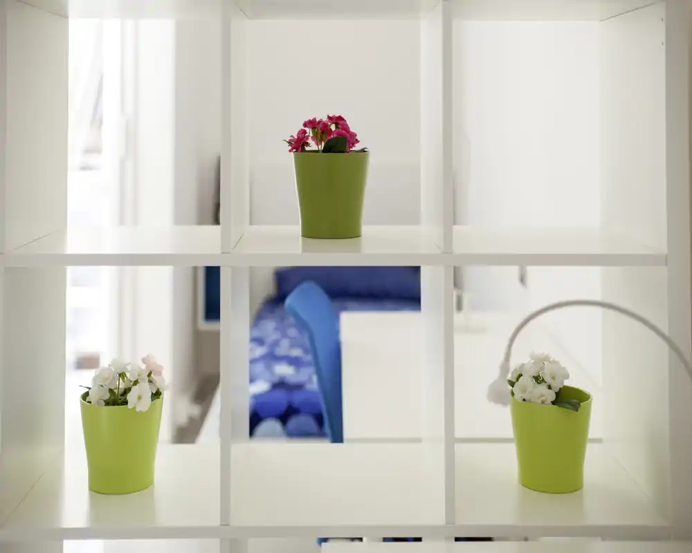 Camera da letto moderna e luminosa vista attraverso una libreria a cubi bianca; si intravede la biancheria blu e una lampada da comodino, con vasi di piante decorative sugli scaffali.