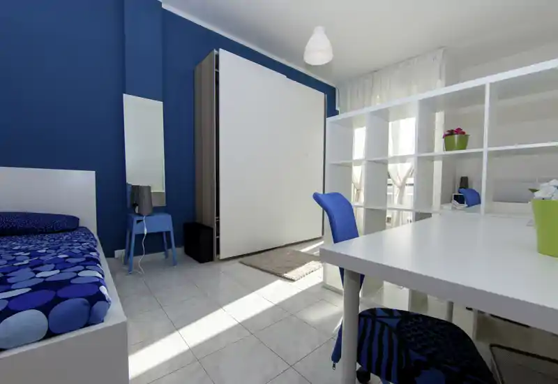 Bright, modern bedroom with a blue accent wall, single bed with patterned blue bedding, desk and shelving creating a practical workspace flooded with natural light.