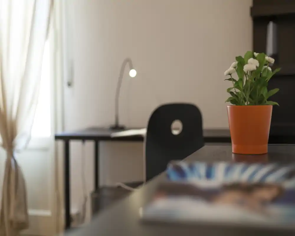 Spazio giorno luminoso e minimale con una scrivania e una piantina in primo piano; luce naturale dalla finestra con tenda e una lampada creano un angolo lavoro accogliente.