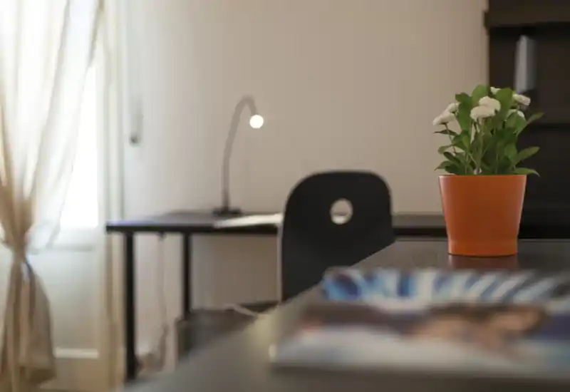 Bright, minimal living area with a desk and decorative plant in the foreground; natural light from a curtained window and a reading lamp create a cosy workspace corner.