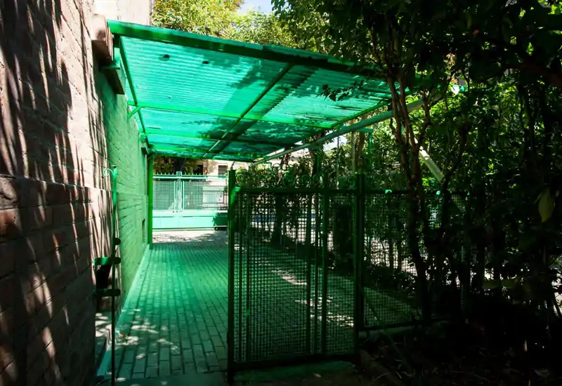 Covered outdoor passage with a green translucent canopy and gated fencing, suitable for a terrace, carport or sheltered walkway next to a building.