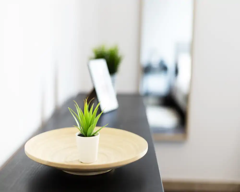 Close-up of a decorative tray with a small potted plant on a console; blurred mirror and background furnishings visible. The image emphasizes styling detail rather than a specific room.
