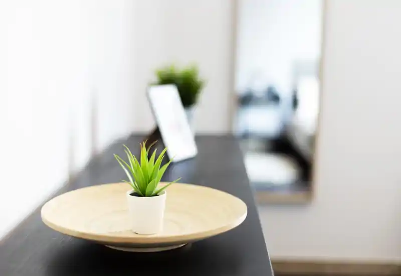 Close-up of a decorative tray with a small potted plant on a console; blurred mirror and background furnishings visible. The image emphasizes styling detail rather than a specific room.