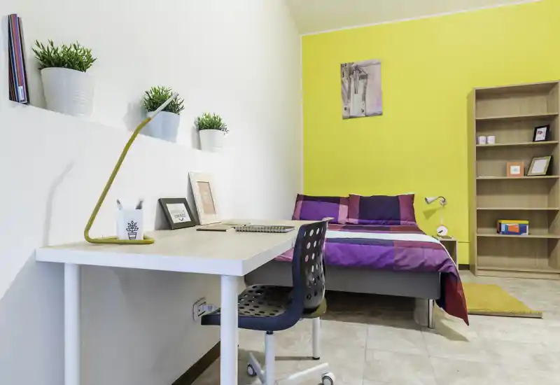 Bright, modern single bedroom with colorful bedding, a desk workspace, shelving and decorative plants — ideal for students or professionals.