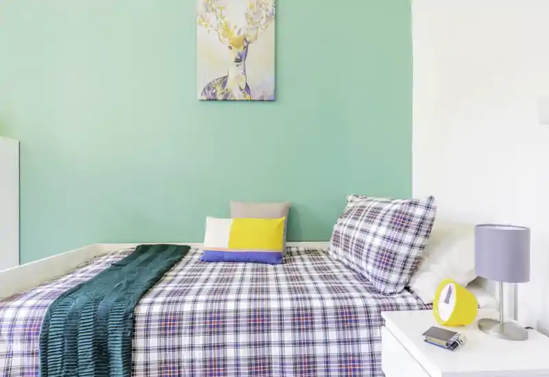 Bright, neatly styled single bedroom with a plaid bedspread, colorful cushions and a teal accent wall — ideal for a cozy rental listing.