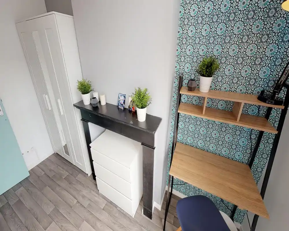 Coin de séjour compact avec étagères en bois, plantes décoratives et mur à motifs ; rangement pratique et petit bureau adaptés à un studio.
