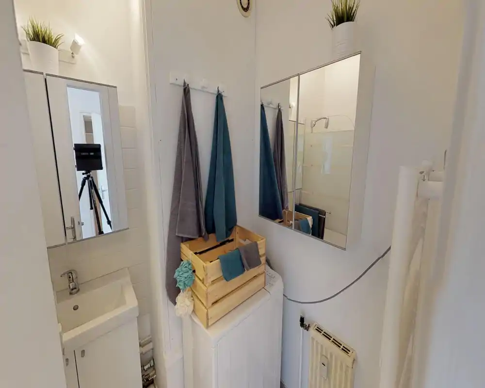 Salle de bains compacte et lumineuse avec petit lavabo, armoire miroir, paroi de douche et serviettes accrochées — propre et fonctionnelle pour les invités.
