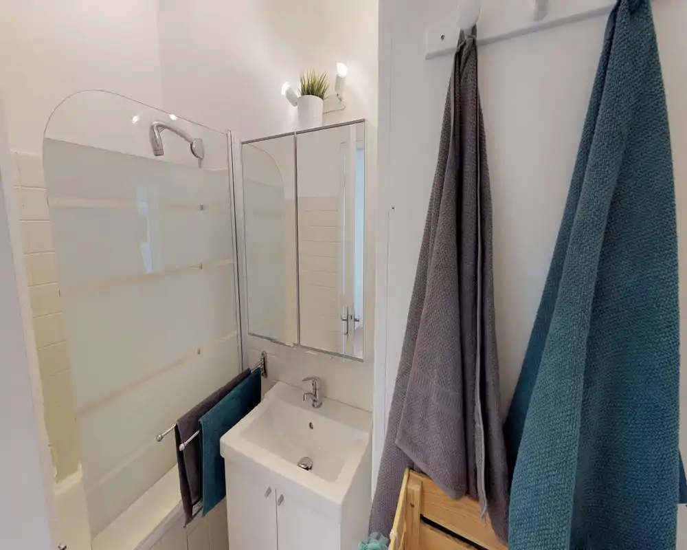 Salle de bains compacte et soignée avec lavabo, armoire-miroir et baignoire/douche équipée d’un pare-douche en verre dépoli. Décor lumineux et neutre, serviettes bien accrochées pour une ambiance propre et accueillante.