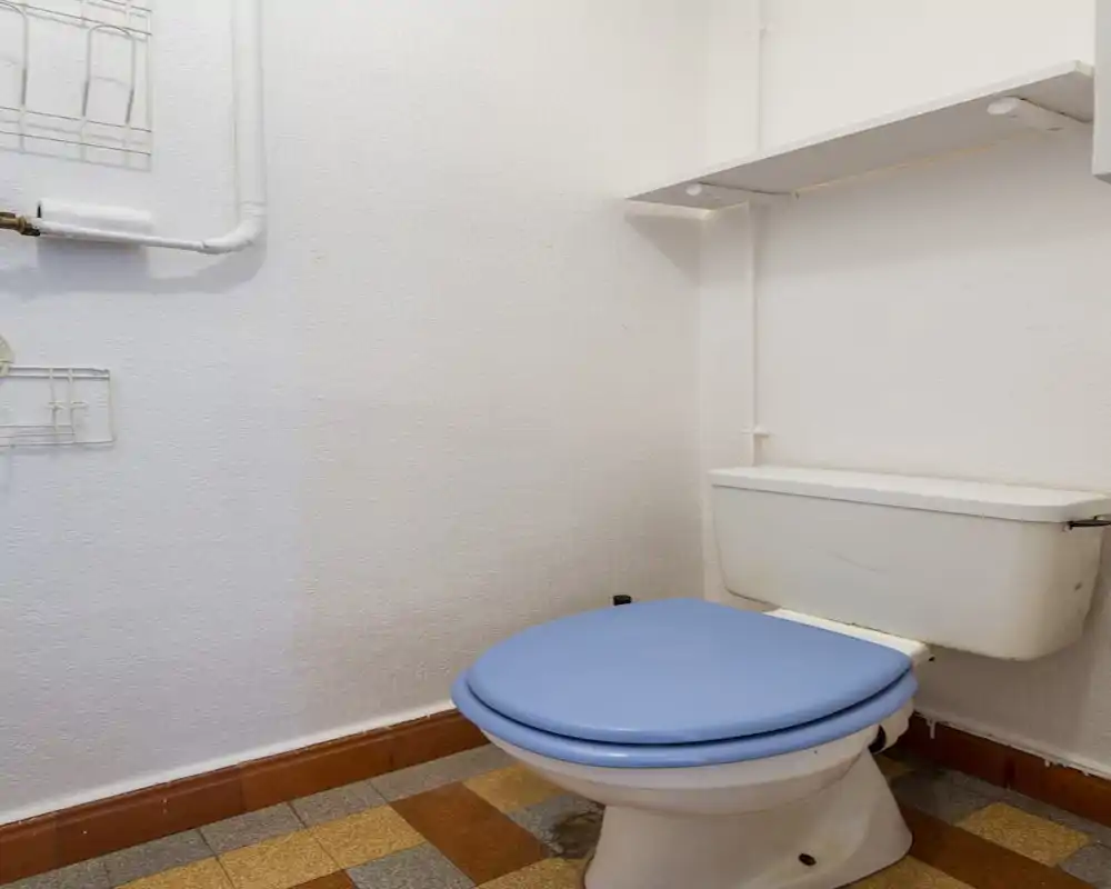 Petite salle d'eau avec réservoir blanc et abattant de WC bleu, murs texturés blancs et carrelage à motifs; WC compact et fonctionnel.