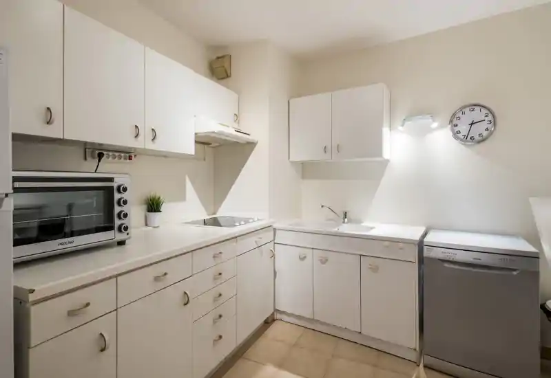 Clean compact kitchen with white cabinets, an electric cooktop, countertop oven and dishwasher; neutral lighting and a small plant add a neat, functional feel.