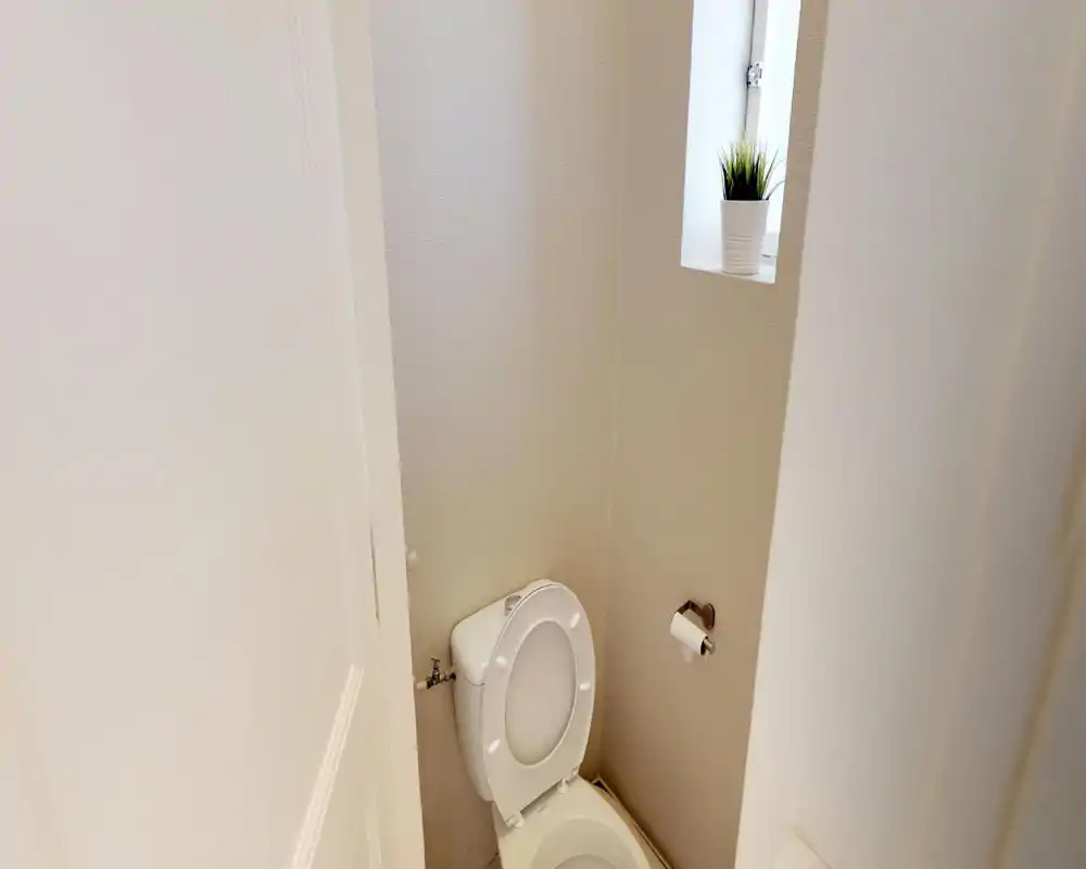 Compact guest toilet with a white toilet, small window and potted plant; bright neutral walls create a clean, minimalist feel.