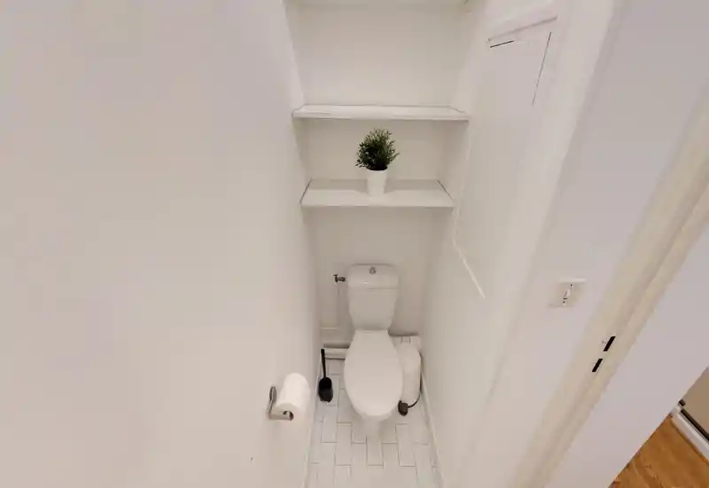 Compact all-white toilet room with a standard close-coupled WC, wall-mounted shelves and a small plant for a clean, minimal look.