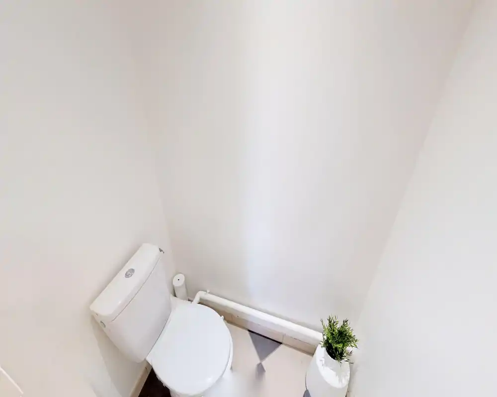 Rincón de baño pequeño y luminoso con inodoro blanco y una planta compacta en el suelo; estilo minimalista y paredes neutras.