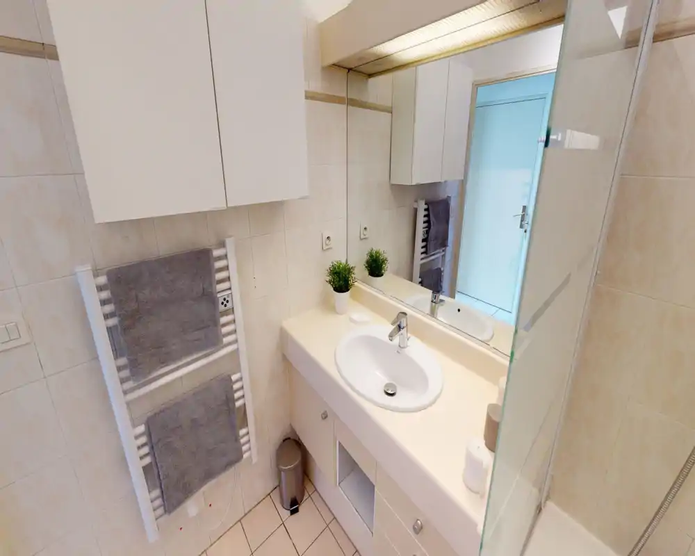 Bright, tidy bathroom with a single sink, built-in vanity, mirror and a towel radiator; light tiles and small decorative plants give a neat, functional feel.