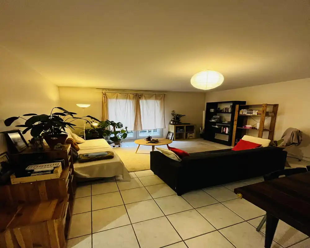 Grand salon chaleureux avec canapé, table basse, étagères et de nombreuses plantes; éclairage doux et tapis cosy pour une ambiance accueillante.