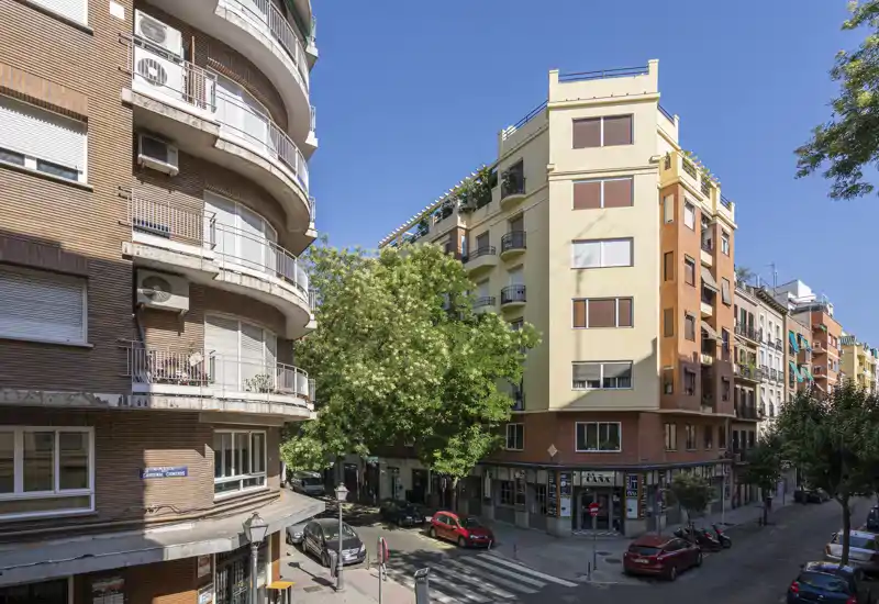 Vista urbana luminosa con facciate di edifici, balconi, alberi e auto parcheggiate — ideale per mostrare il quartiere e gli esterni.