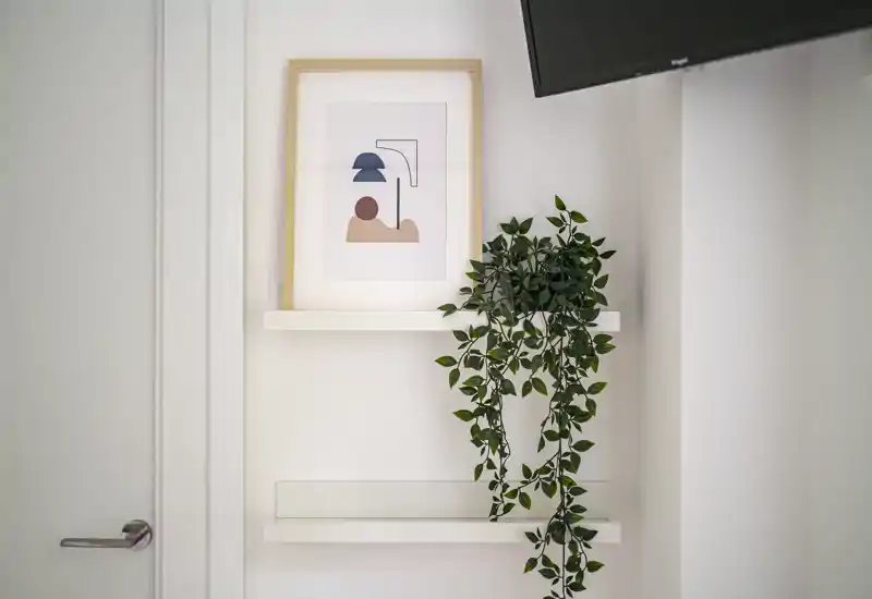 Ingresso minimale con mensole a parete, un quadro incorniciato e una pianta rampicante, per un primo impatto pulito e accogliente.