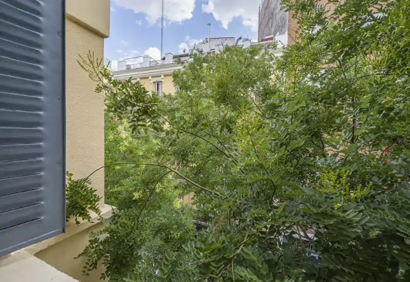 Vista verde dalla finestra/terrazzino con alberi rigogliosi in primo piano e palazzi vicini sullo sfondo, per una piacevole visuale verde in città.