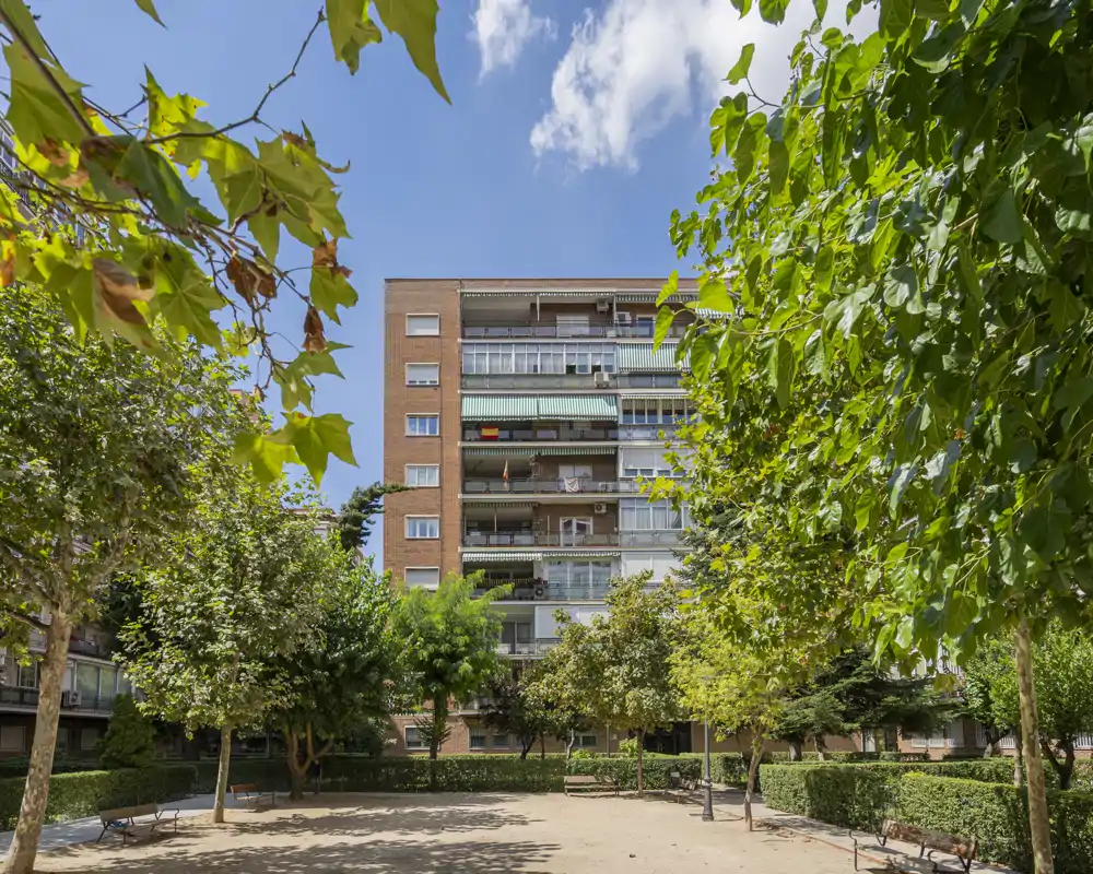 Sunny communal garden and tree-lined courtyard in front of an apartment block, with benches and mature greenery — ideal for relaxing outdoors.
