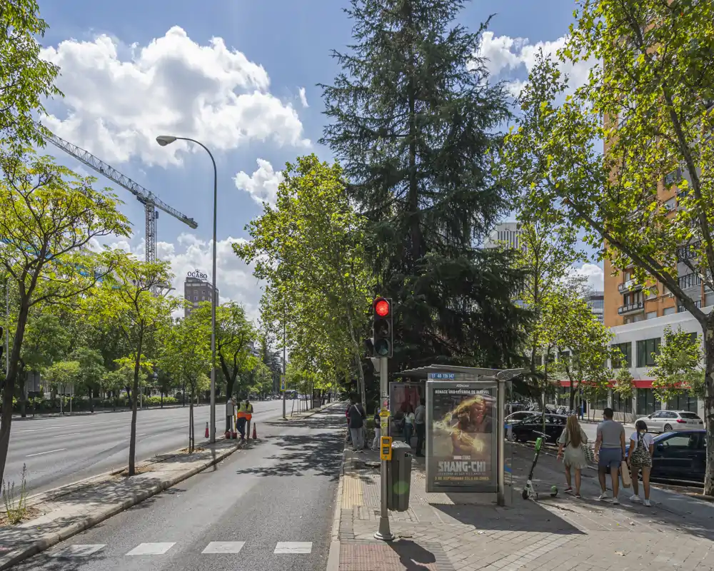 Sunny urban street scene with a tree-lined sidewalk, bus stop shelter, traffic light and pedestrians — suitable for showcasing the exterior/street access of a property.