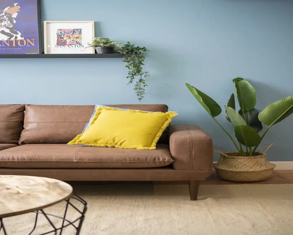 Stylish living room with a leather sofa, bright yellow cushion and decorative plants against a soft blue wall — cozy and well-styled space ideal for listings.