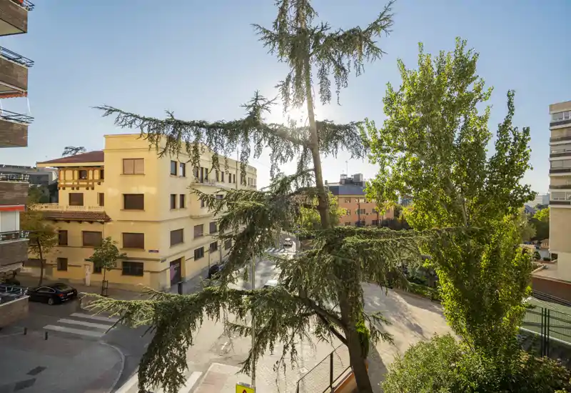 Vista urbana soleada desde una ventana o balcón, con árboles grandes, edificios residenciales y una intersección tranquila bañada por luz cálida.