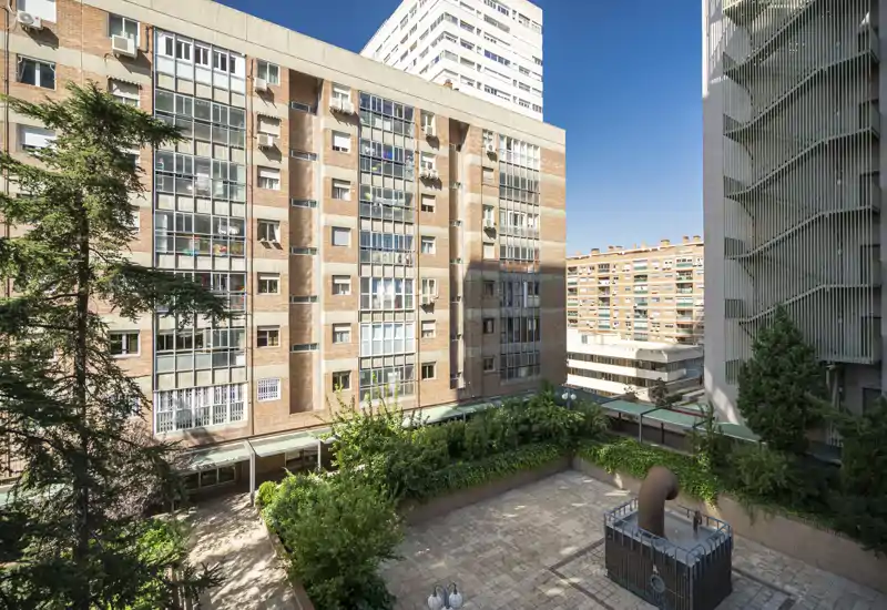 Vista soleggiata su un cortile privato e gli edifici adiacenti, con siepi e terrazza pavimentata — ideale per mostrare le aree esterne comuni e l’esposizione alla luce.