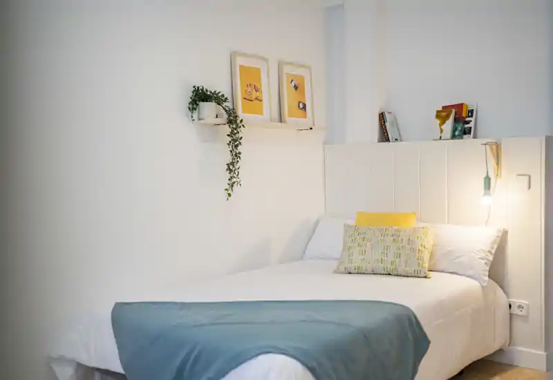 Bright, tidy bedroom with a neatly made single bed, decorative cushions and a warm bedside lamp creating a cozy, modern atmosphere.