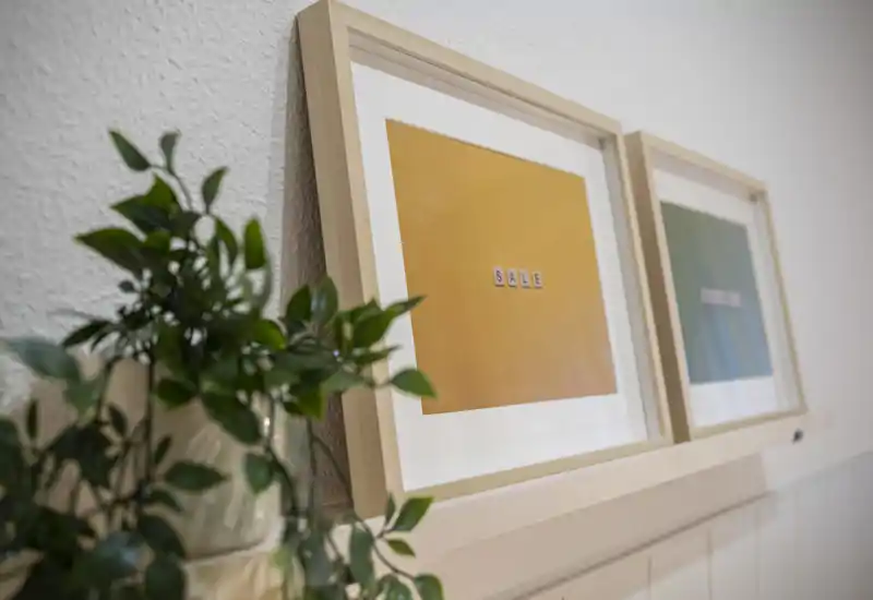 Close-up of two framed prints on a narrow shelf with a potted trailing plant in front; a decorative detail shot showing wall art and greenery.
