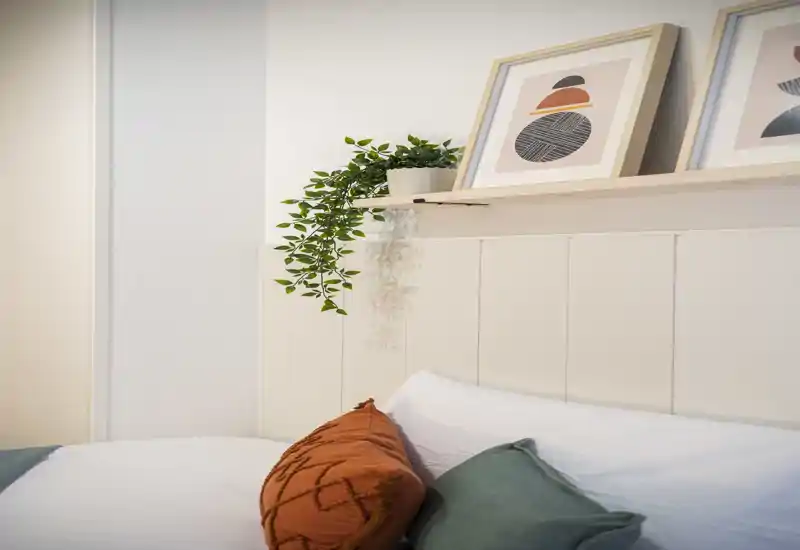 Bright, styled bedroom corner with decorative cushions and framed artwork above the headboard; a trailing plant adds a fresh, cozy touch.