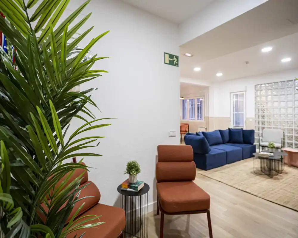 Bright, stylish living area with a deep blue sofa, rust-coloured accent chairs and a natural-fibre rug creating a cozy shared space.