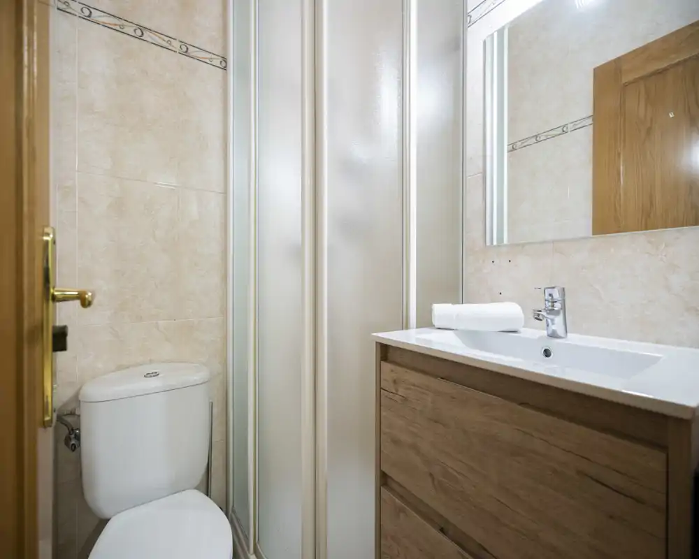 Compact, clean bathroom with a toilet, corner shower with frosted glass doors and a wooden vanity with sink and mirror.