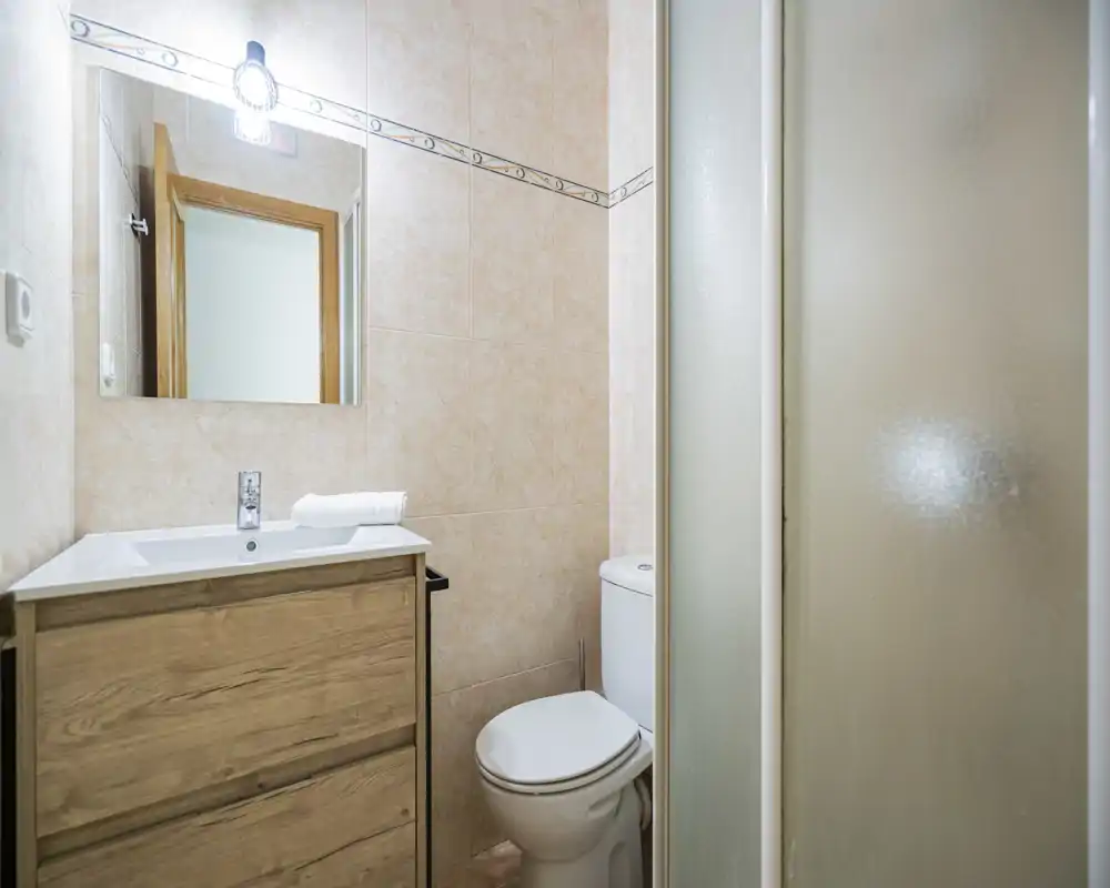 Compact, well-lit bathroom with a wooden vanity, sink, mirror and a corner shower with frosted glass. Clean neutral tiles and a modern toilet complete the space.
