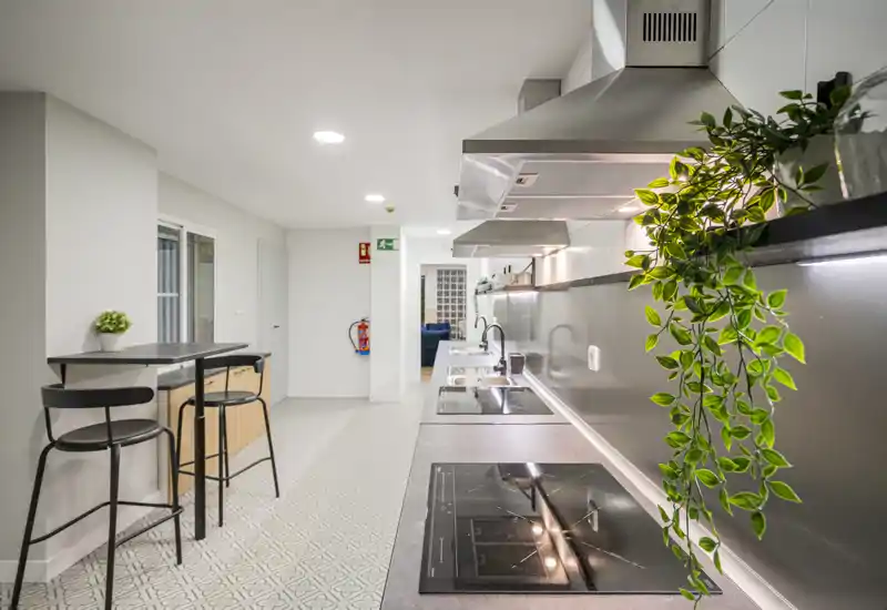 Cuisine moderne en enfilade avec plaque à induction, hotte inox et grand plan de travail. Espace lumineux et élégant avec tabourets de bar et plantes décoratives.