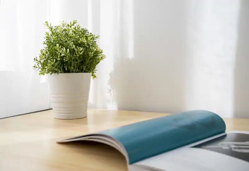 Escena de mesa luminosa con una pequeña planta en maceta y una revista abierta junto a una ventana soleada, perfecta para mostrar el estilo de un balcón o terraza.