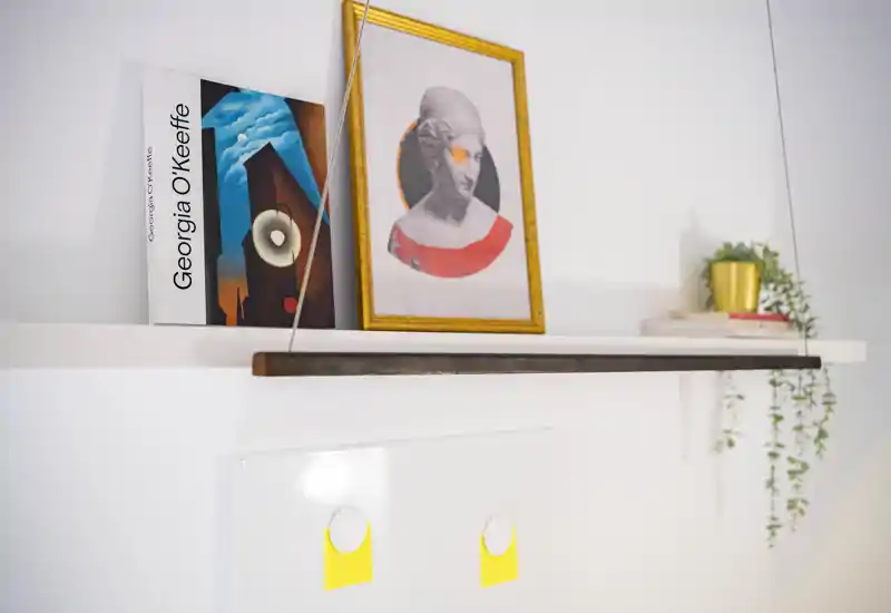 Primer plano de una estantería de pared minimalista con una obra enmarcada, un libro y una pequeña planta colgante: una toma decorativa útil para destacar detalles de staging.