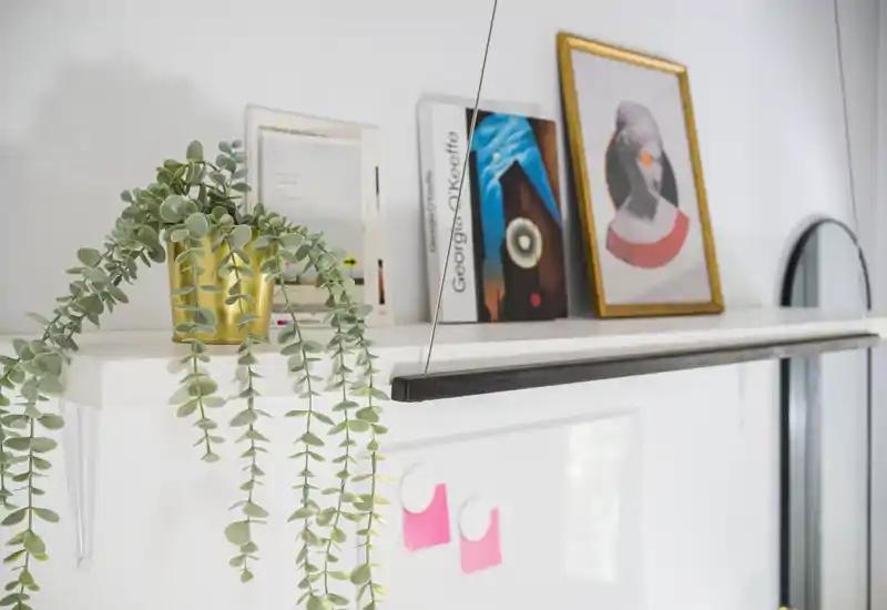 Plano detalle de una balda decorativa con una planta colgante en maceta, pequeños libros y un cuadro enmarcado — un guiño decorativo perfecto para mostrar detalles del interior.