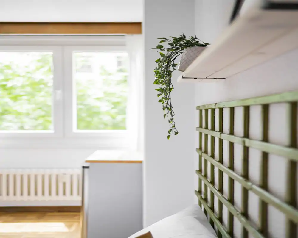 Détail lumineux d'une chambre minimaliste avec une tête de lit verte et une plante suspendue ; la lumière naturelle apporte une ambiance fraîche et aérée.