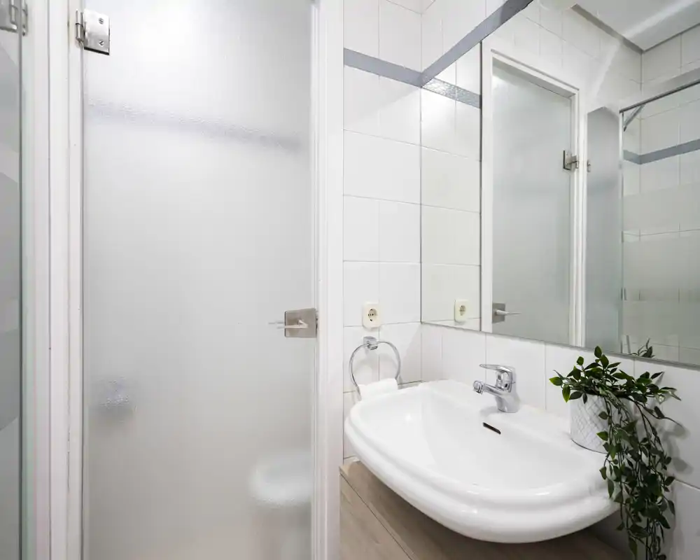 Bright, modern bathroom with a white sink, wall-mounted faucet and frosted glass shower door; large mirror and a potted plant add a fresh touch.