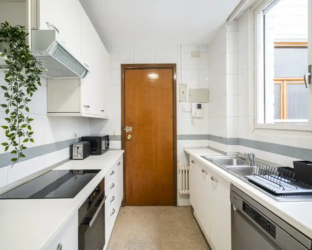 Bright, narrow kitchen with white cabinets, induction hob, double sink and dishwasher; a hanging plant adds a touch of greenery.