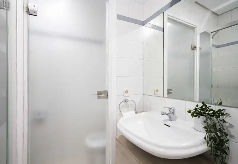 Coin de salle de bains lumineux et moderne avec lavabo blanc, grand miroir et porte de douche en verre dépoli ; une petite plante apporte une touche de fraîcheur.