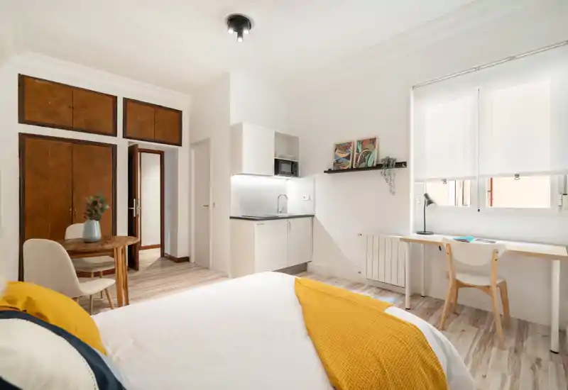 Bright, modern bedroom studio with a visible double bed, built-in wardrobe, compact kitchenette and a desk by the window — ideal for single or couple stays.