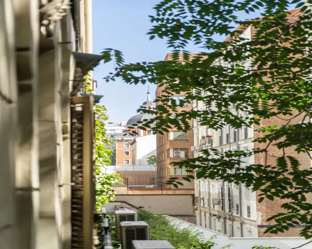 Vue urbaine à travers des branches feuillues depuis une fenêtre ou un balcon, avec des immeubles voisins et un ciel lumineux offrant un agréable panorama citadin.