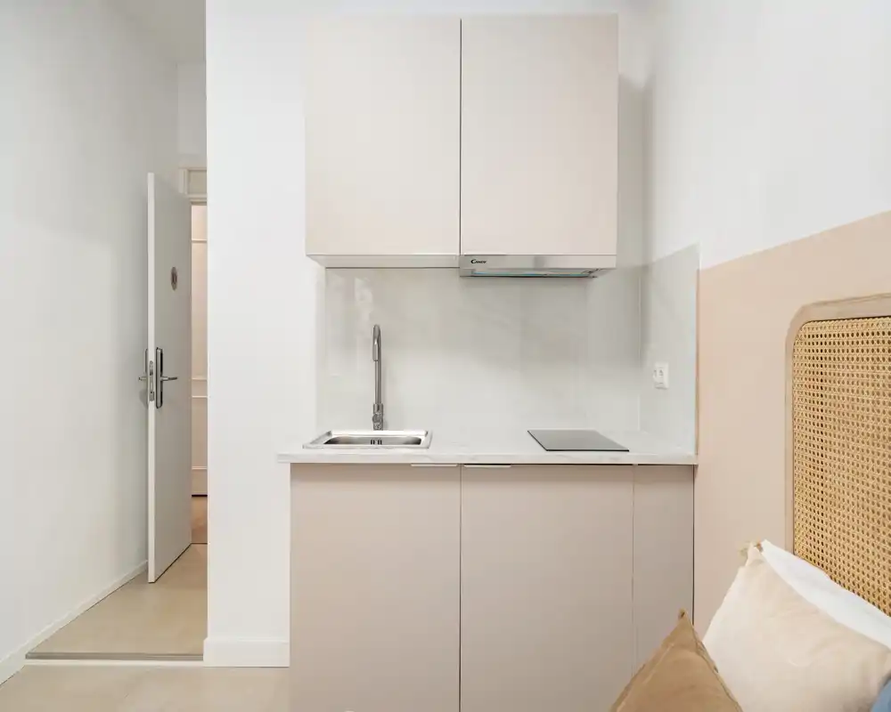 Kitchenette compacte avec évier, plaque à induction et placards muraux; tons neutres et surfaces nettes pour une ambiance moderne et minimaliste.