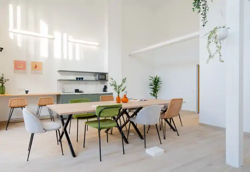 Bright, modern dining area with a large wooden table surrounded by mixed chairs, minimalist kitchenette in the background, and decorative plants for a fresh, welcoming atmosphere.